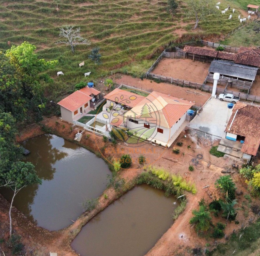 Fazenda - Foto 8