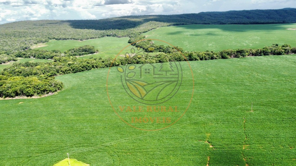 Fazenda - Foto 5