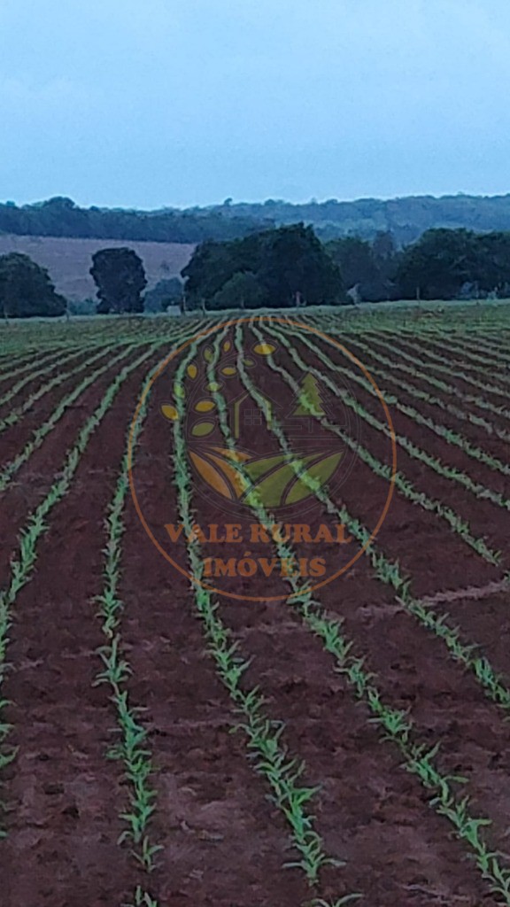 Fazenda - Foto 4