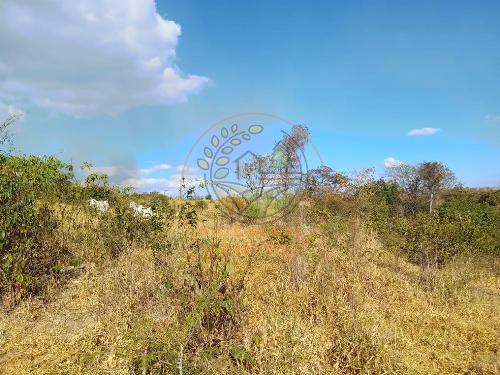 Fazenda - Foto 10