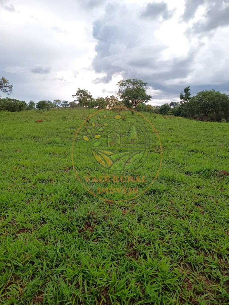 Fazenda - Foto 21