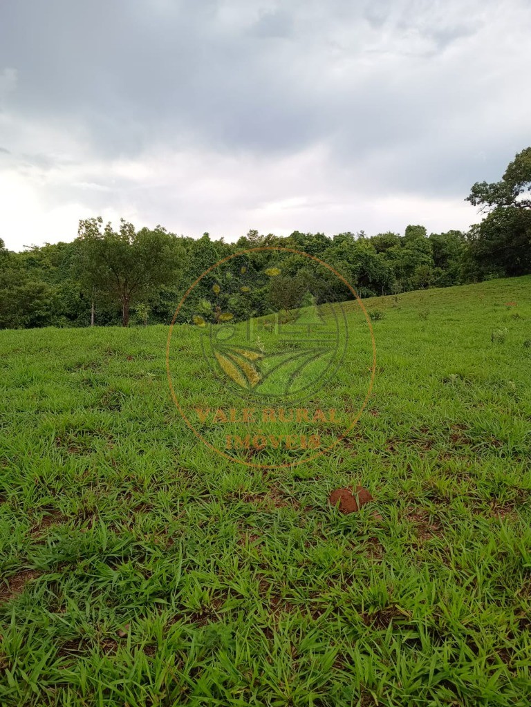 Fazenda - Foto 22