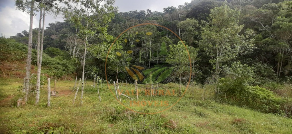 Fazenda - Foto 7