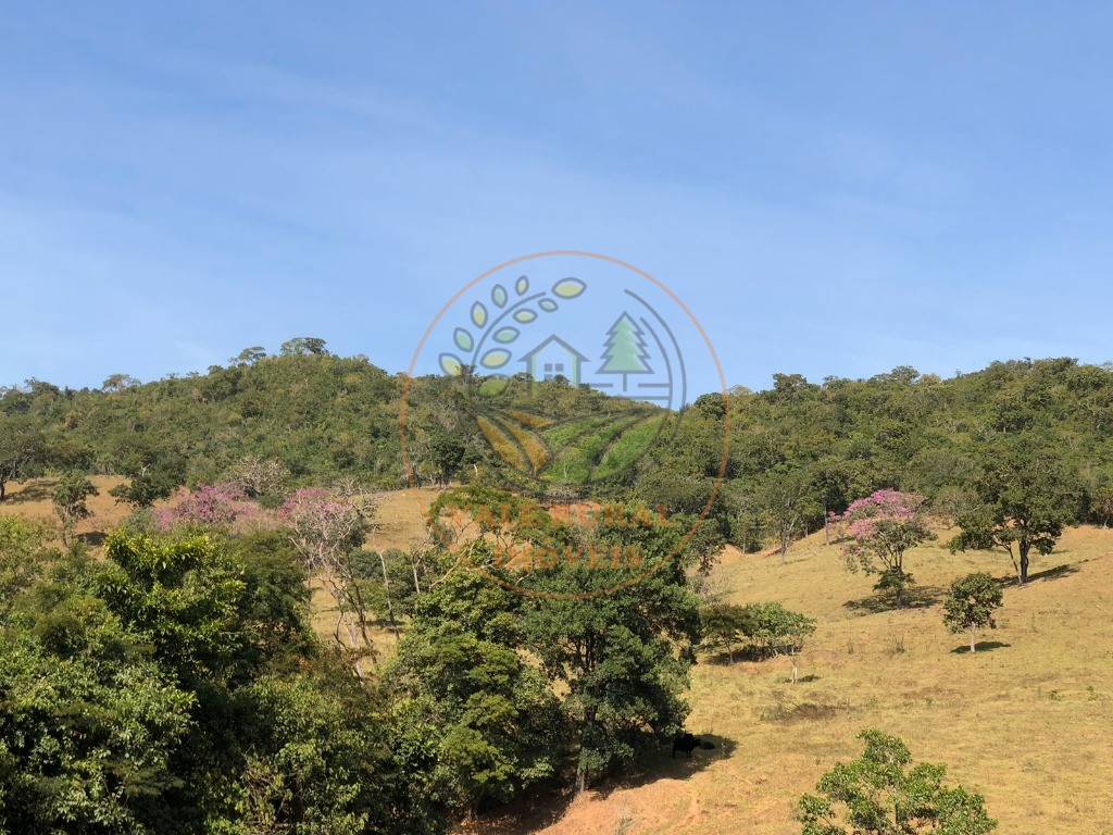 Fazenda - Foto 24