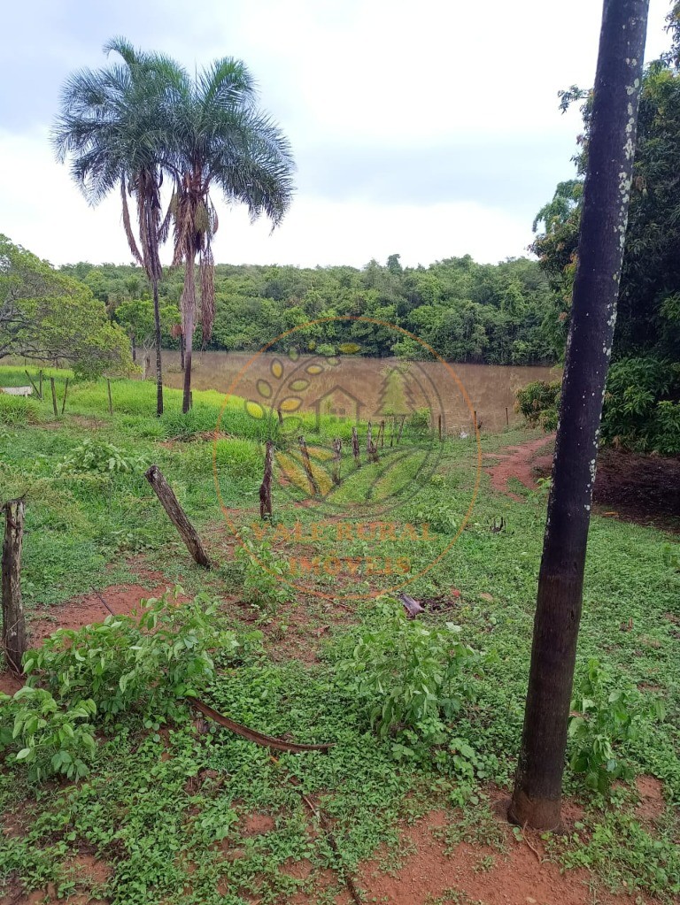 Fazenda - Foto 17