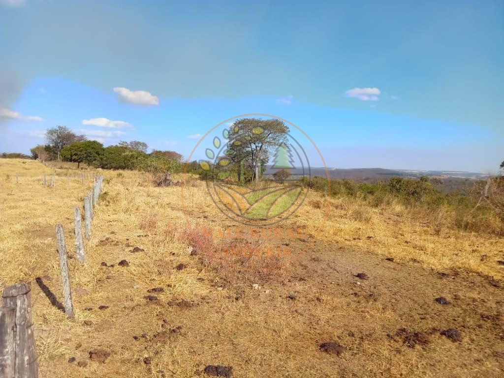 Fazenda - Foto 7