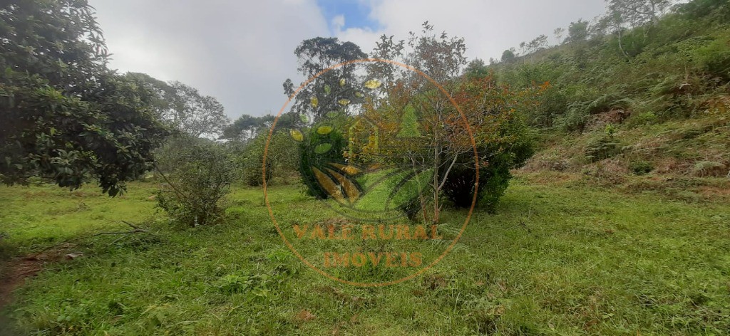 Fazenda - Foto 5