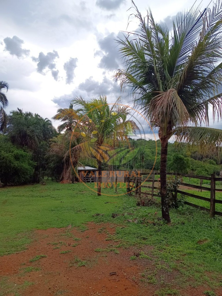 Fazenda - Foto 3