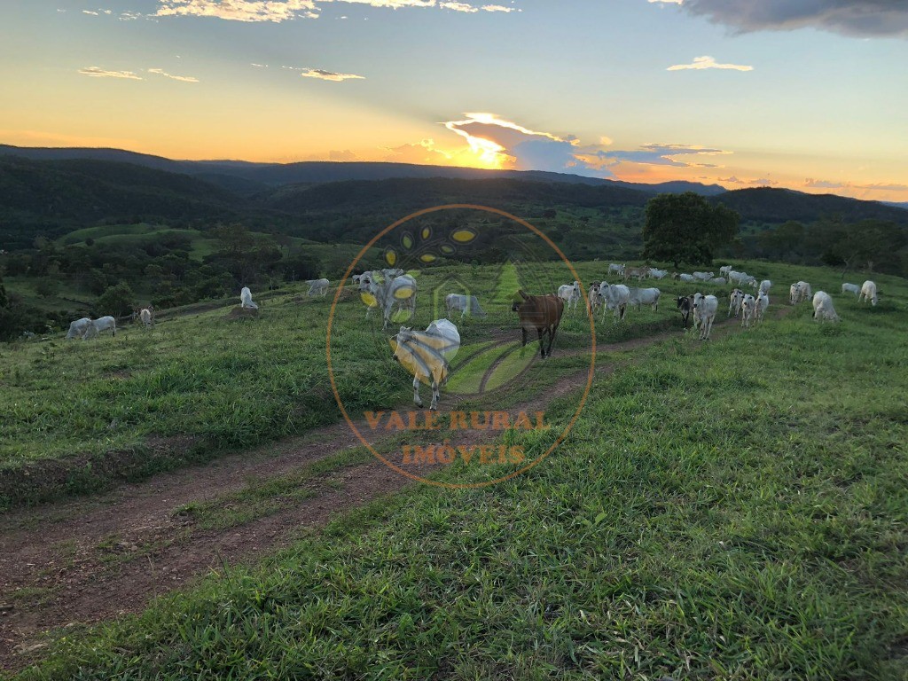 Fazenda - Foto 21