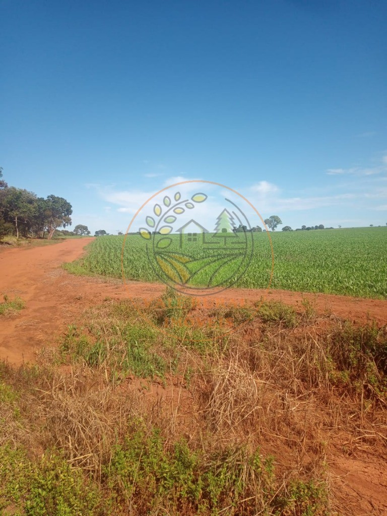 Fazenda - Foto 6
