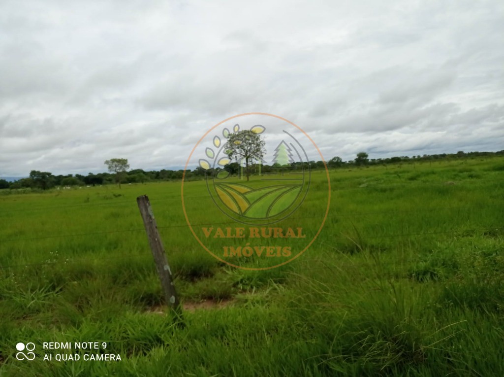Fazenda, 5 quartos - Foto 8