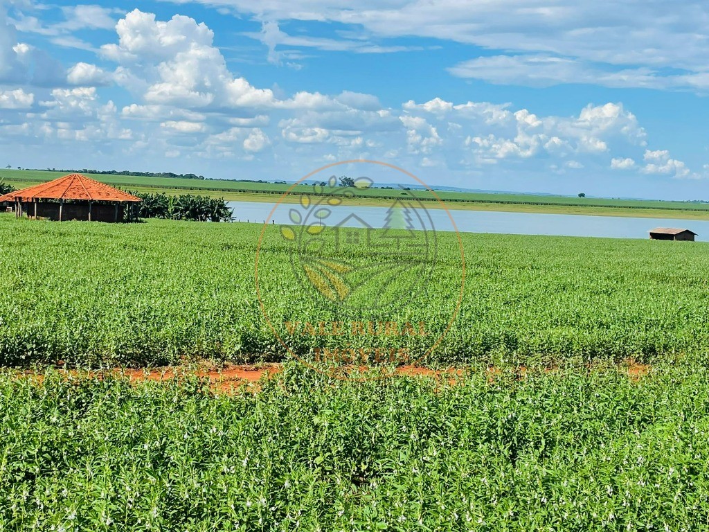 Fazenda - Foto 1