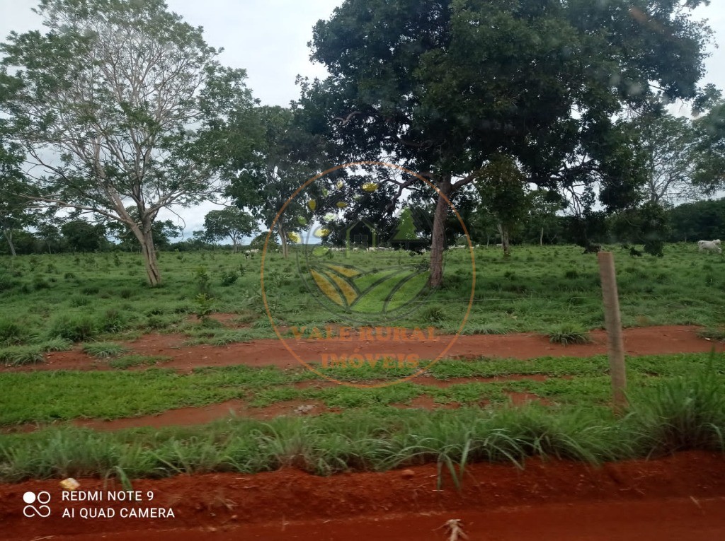 Fazenda, 5 quartos - Foto 9