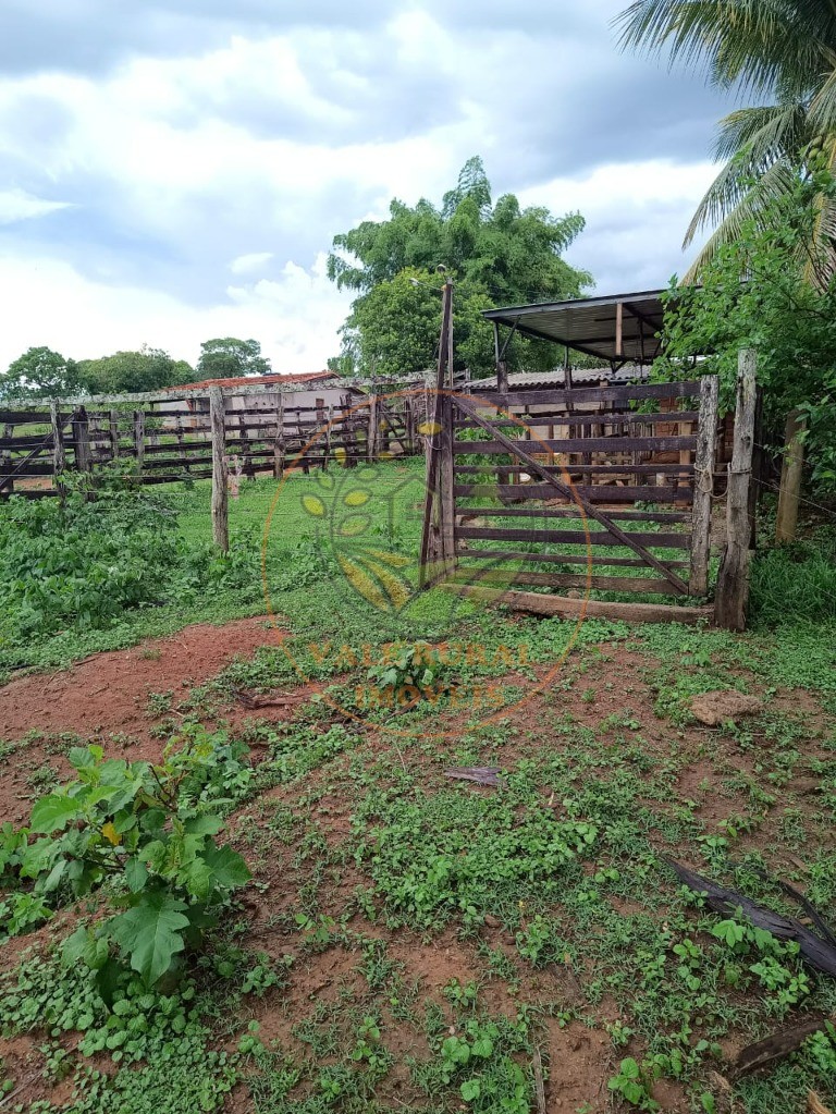 Fazenda - Foto 18