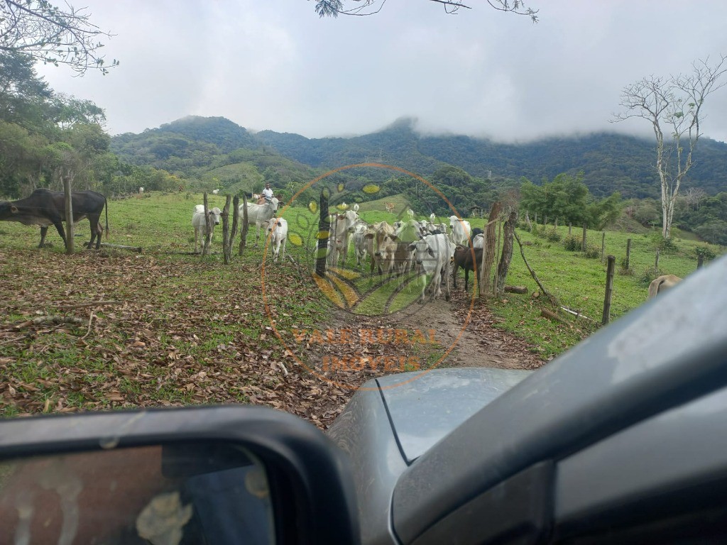 Fazenda - Foto 9