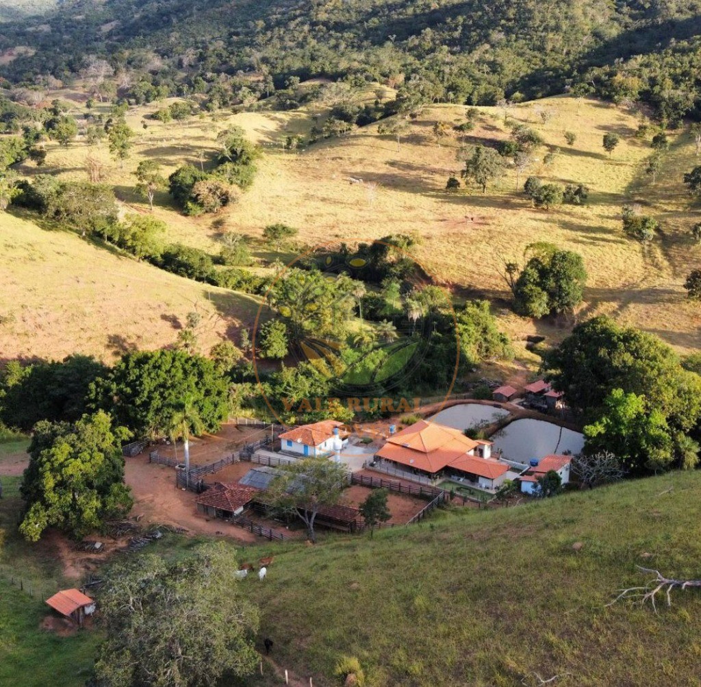 Fazenda - Foto 7