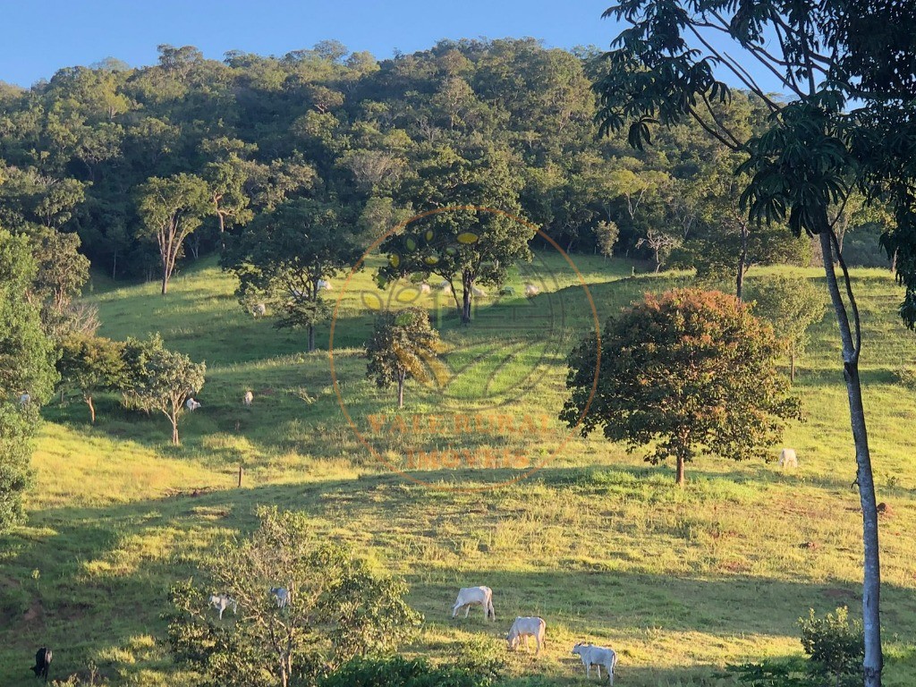 Fazenda - Foto 17