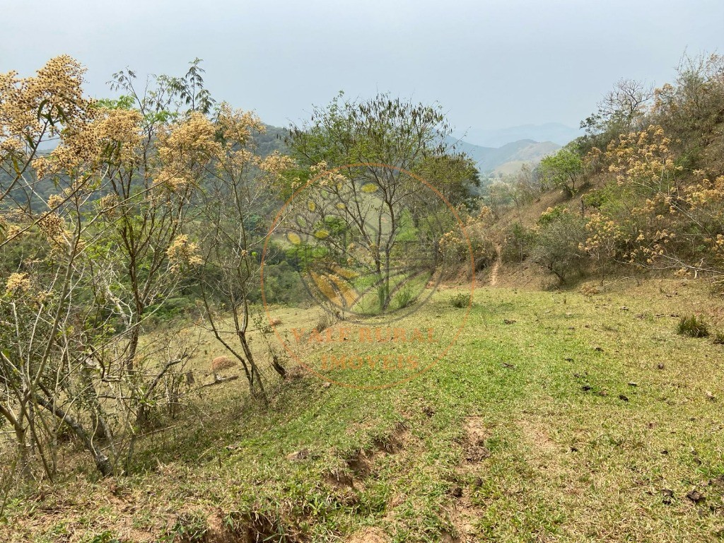 Fazenda - Foto 21