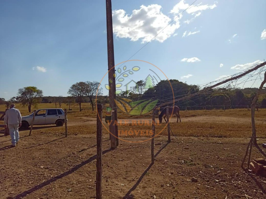 Fazenda - Foto 13