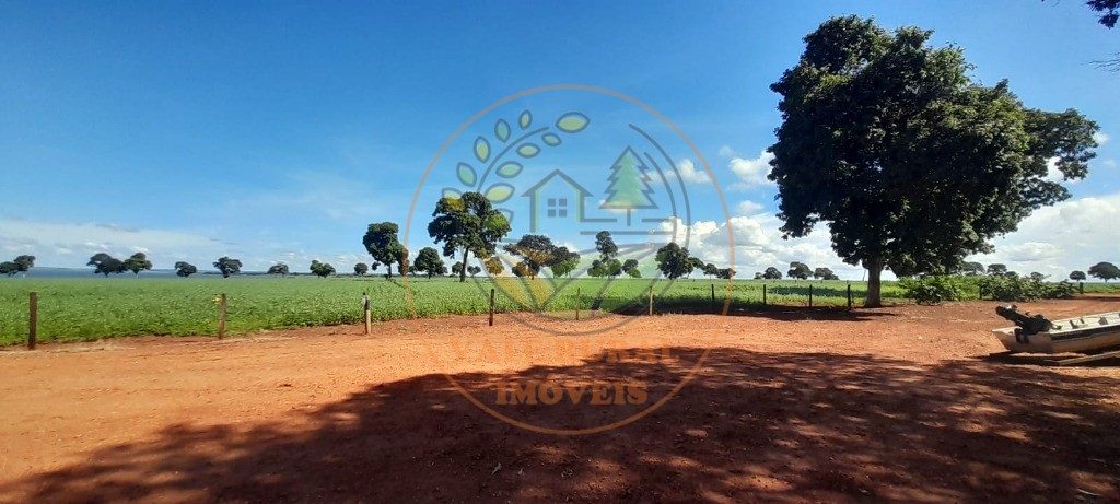Fazenda - Foto 11