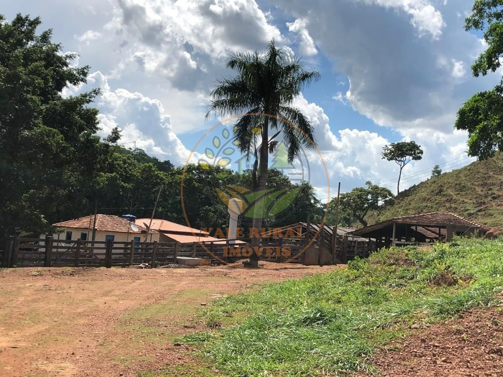 Fazenda - Foto 10