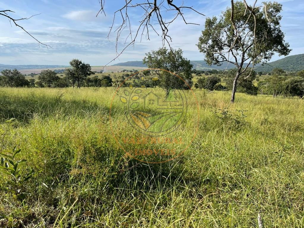 Fazenda - Foto 6
