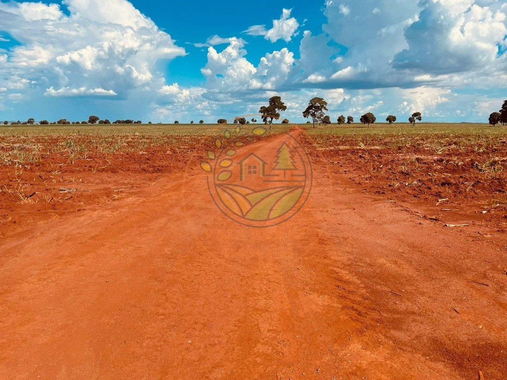 Fazenda - Foto 8