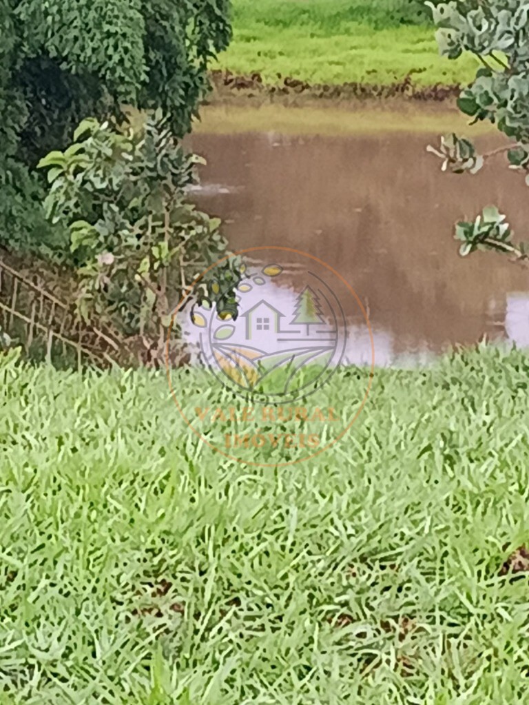 Fazenda - Foto 27