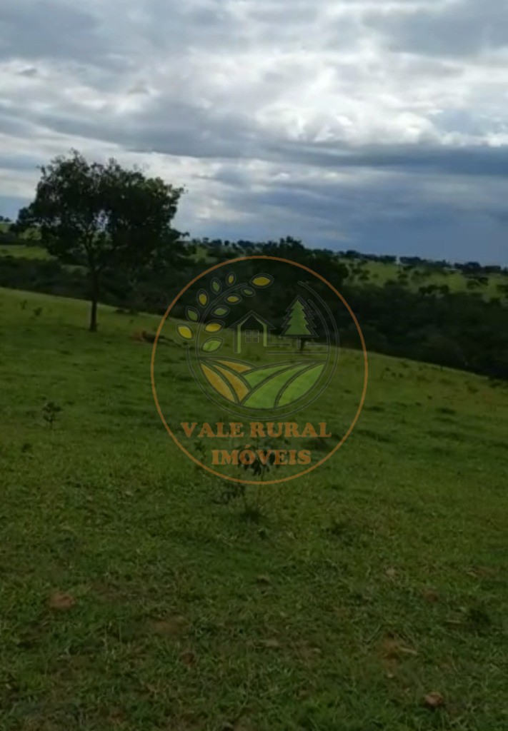 Fazenda - Foto 6