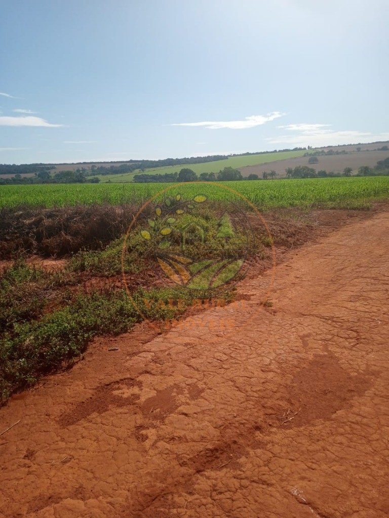 Fazenda - Foto 4