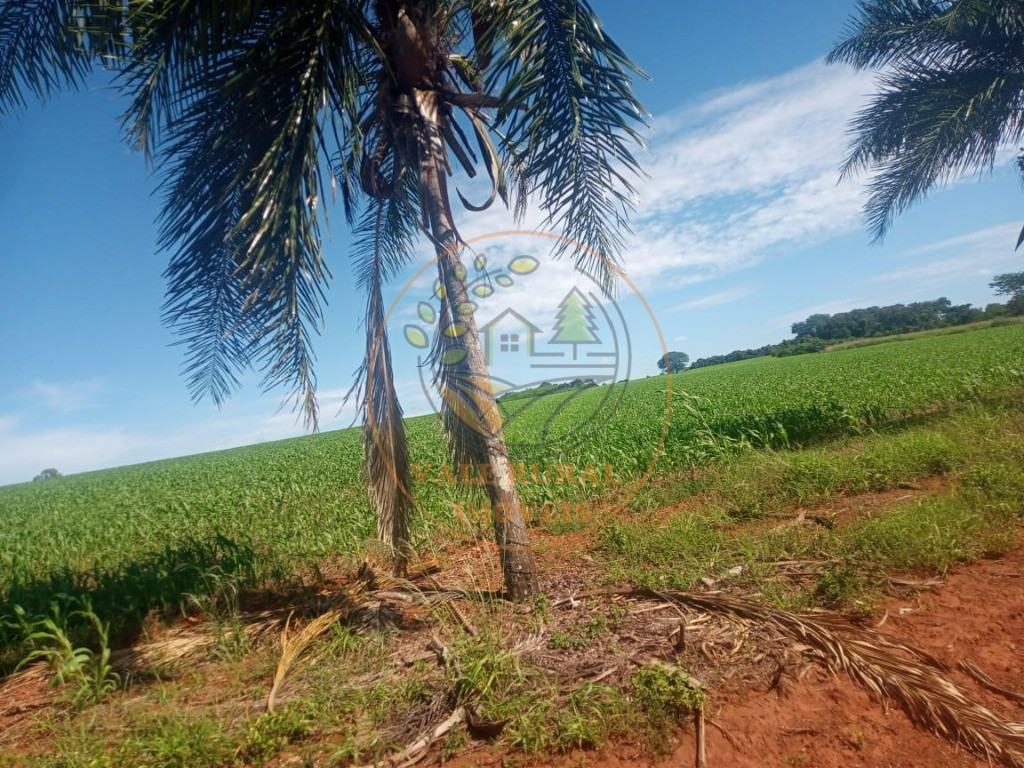 Fazenda - Foto 15