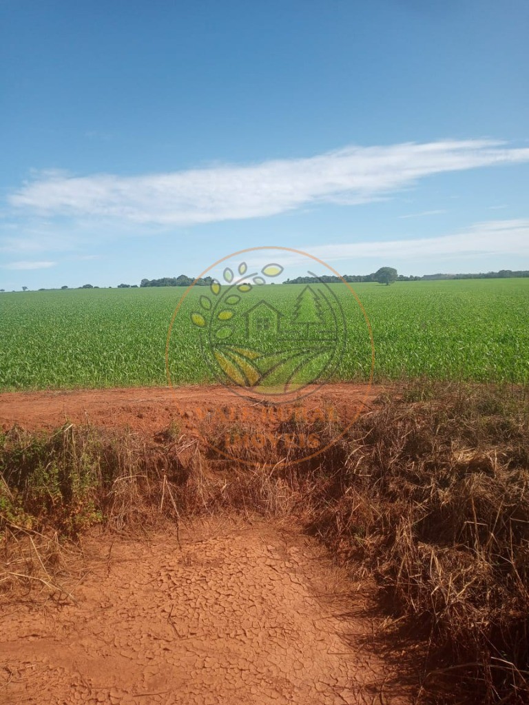 Fazenda - Foto 7