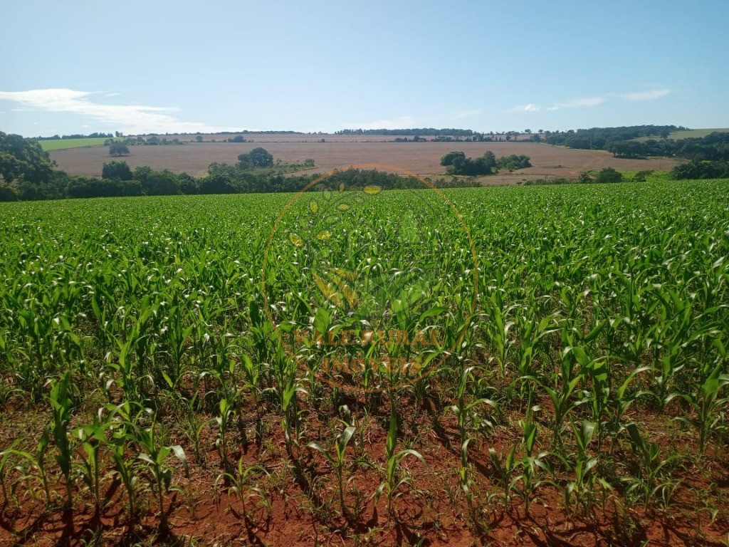 Fazenda - Foto 1