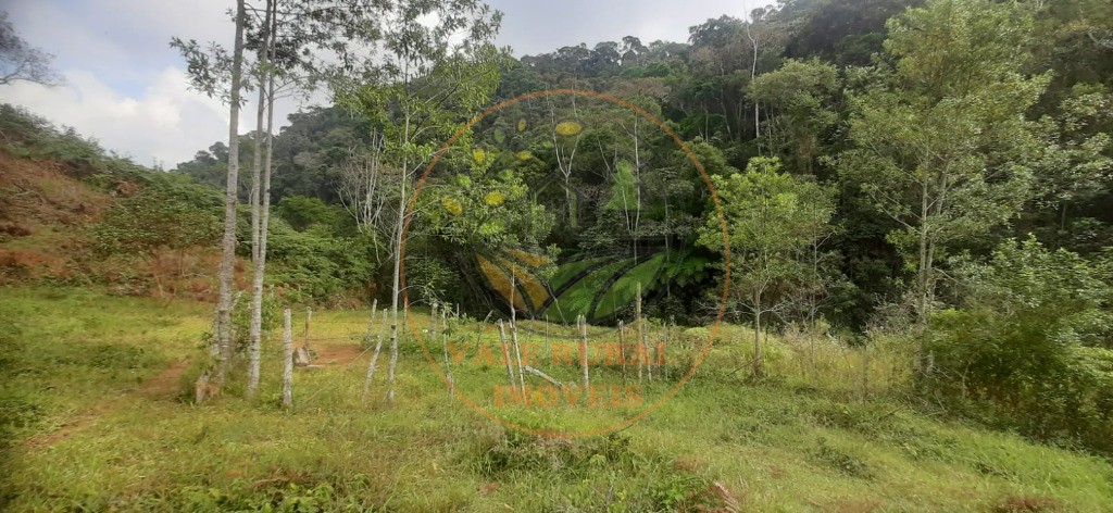 Fazenda - Foto 8