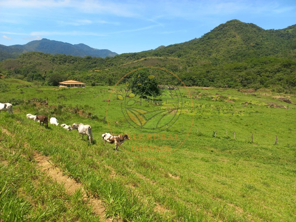 Fazenda - Foto 10