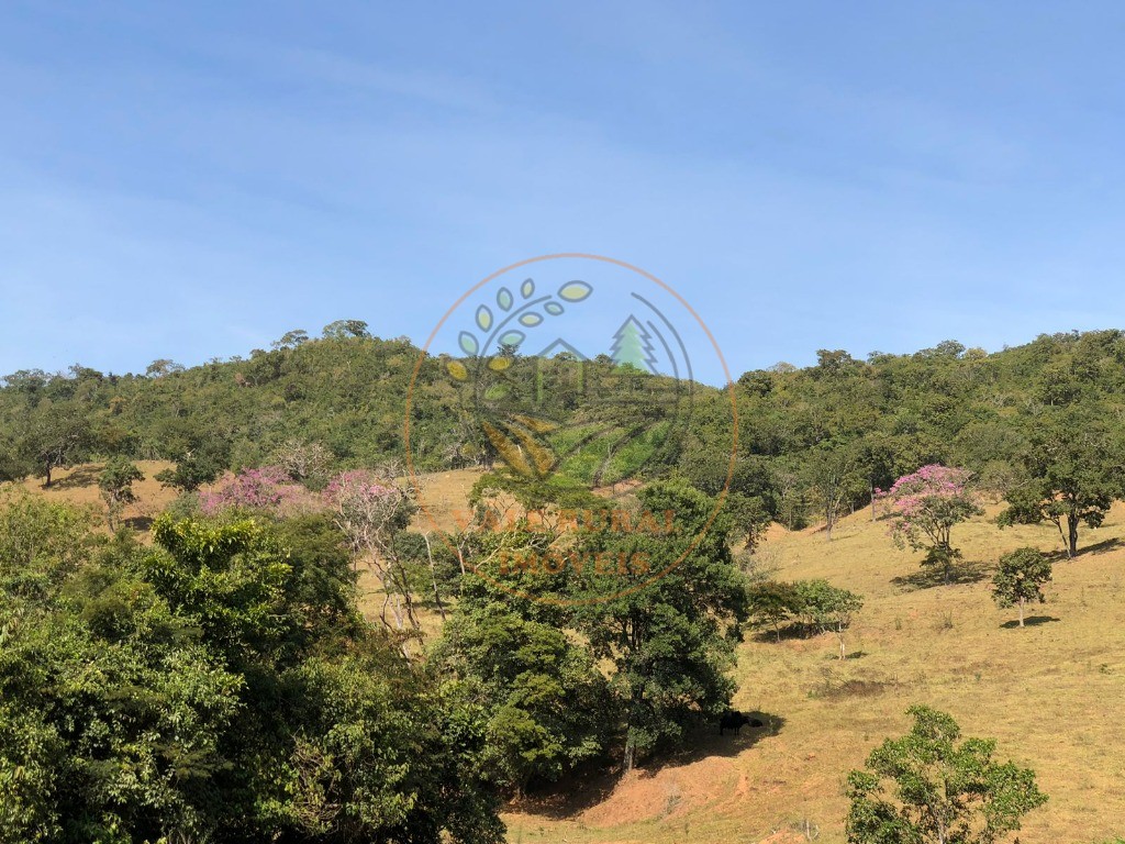 Fazenda - Foto 23