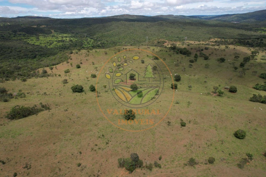 Fazenda - Foto 22