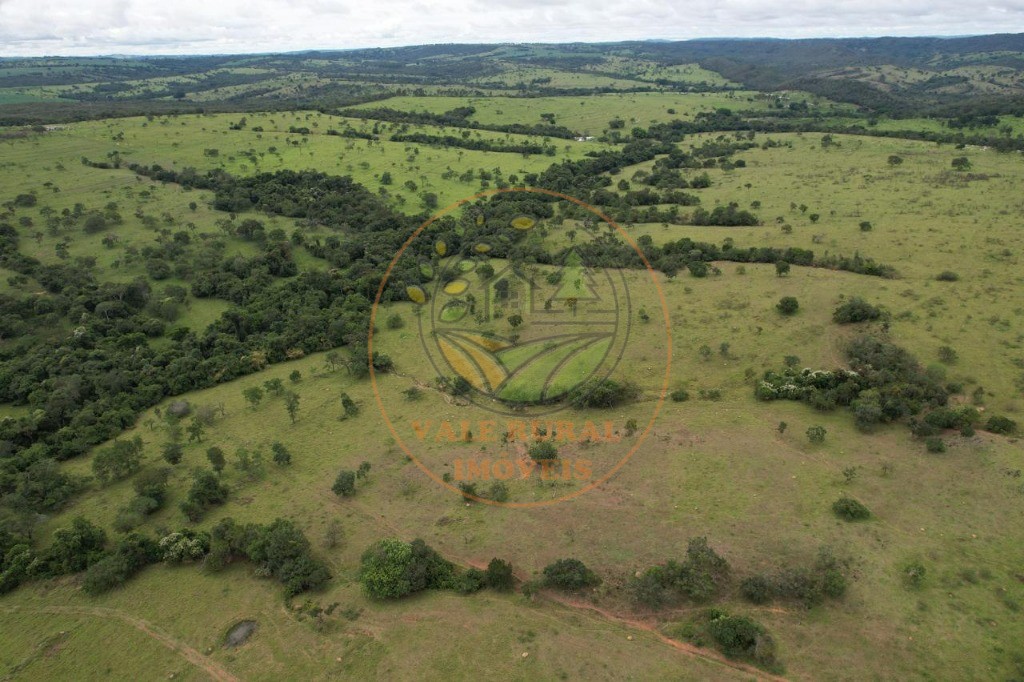 Fazenda - Foto 18
