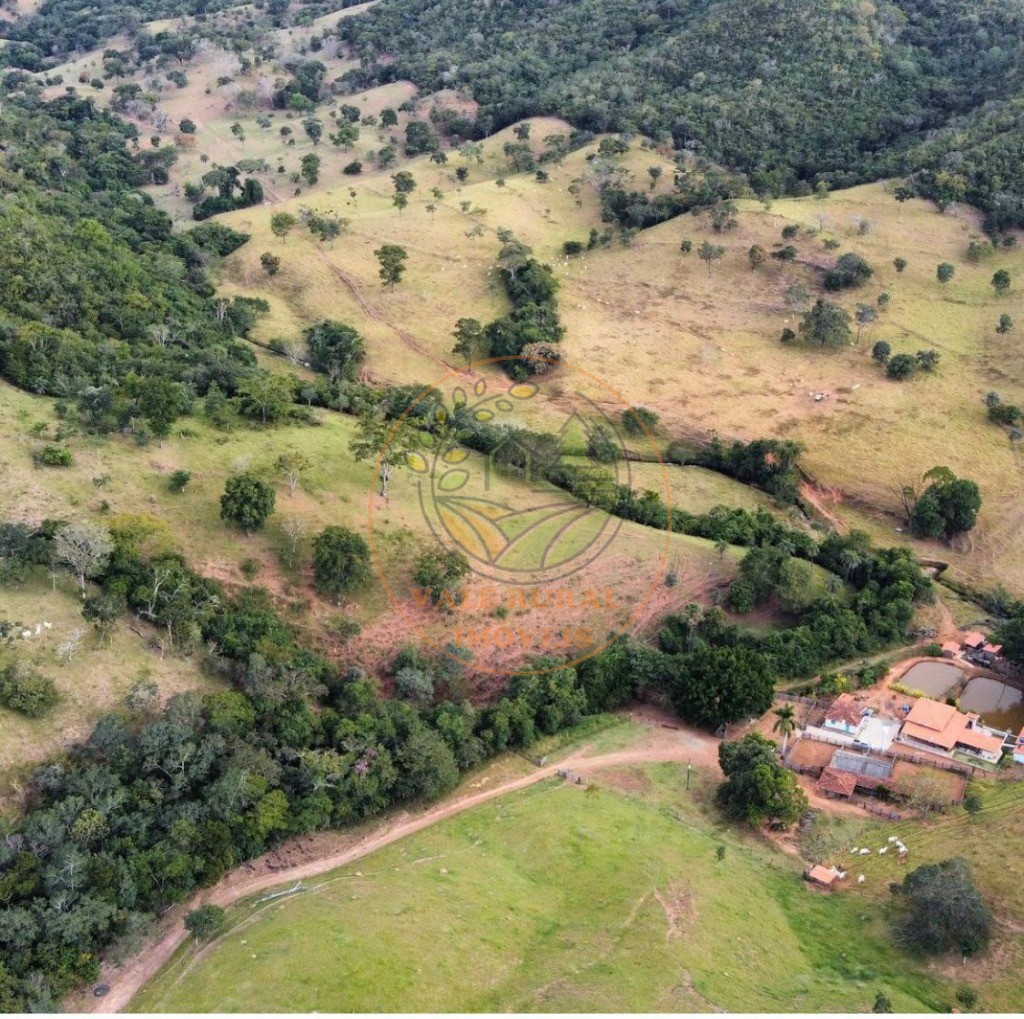 Fazenda - Foto 13