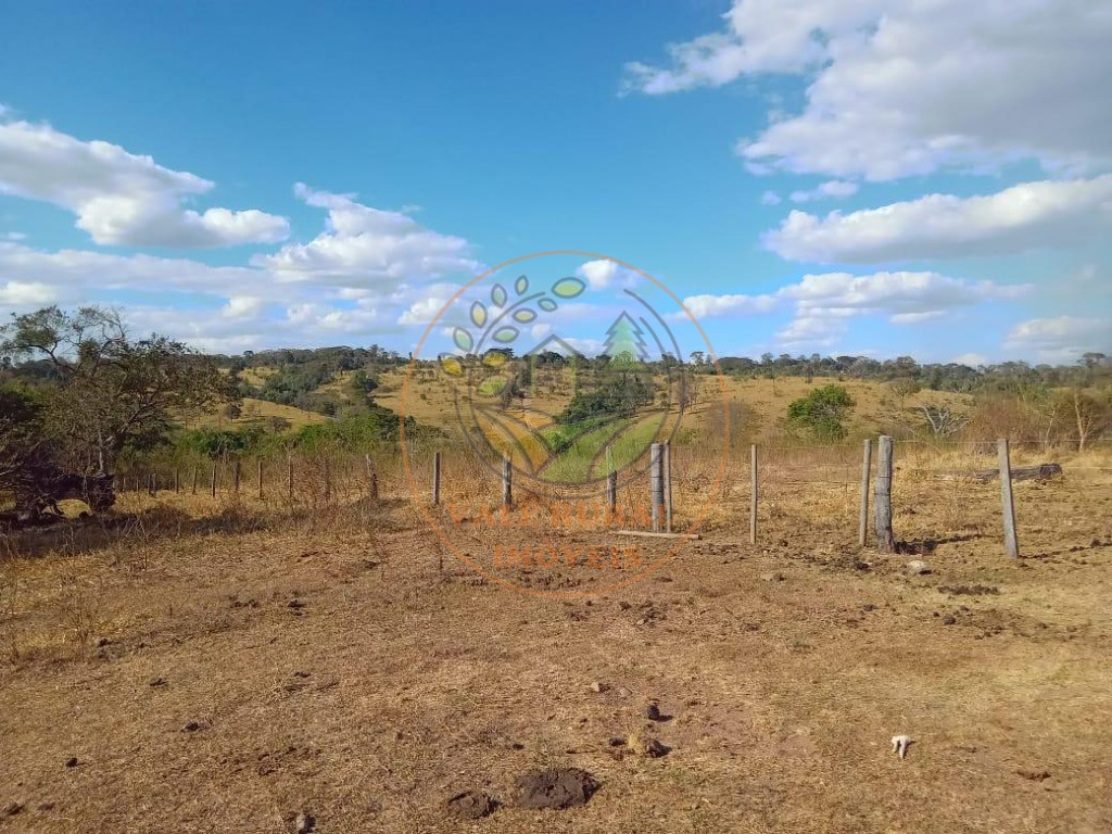 Fazenda - Foto 9