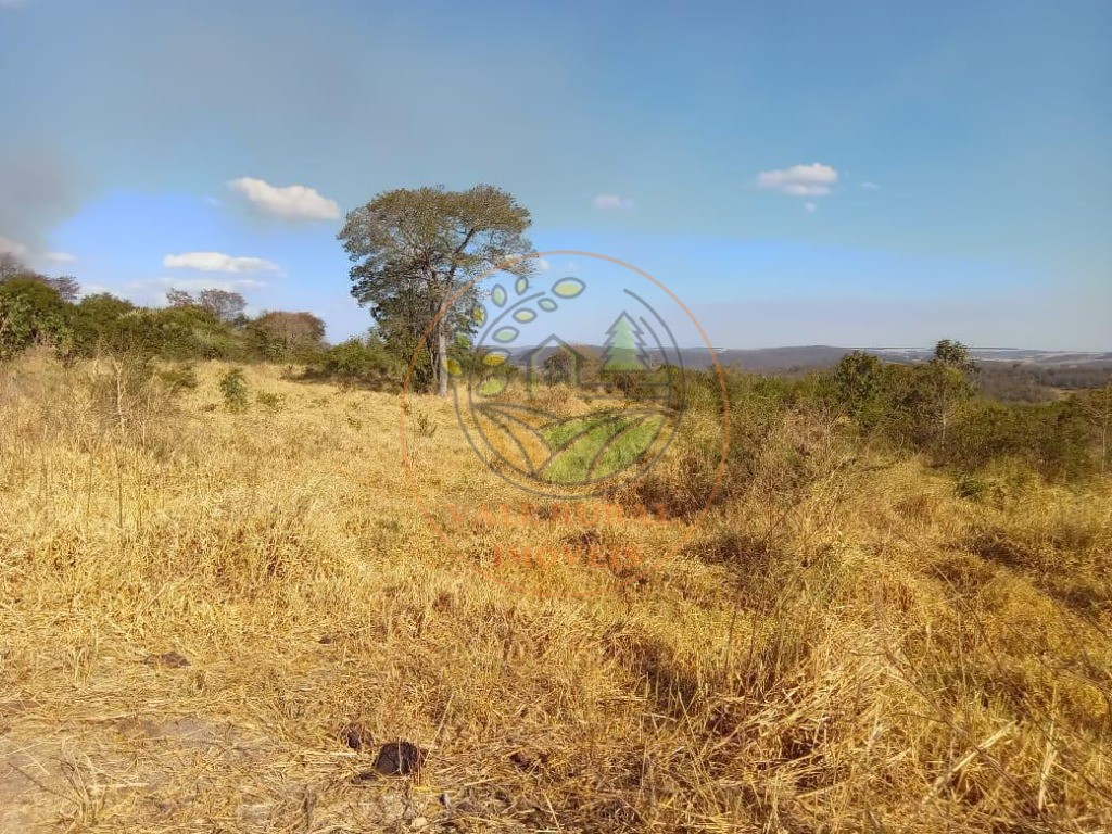 Fazenda - Foto 3