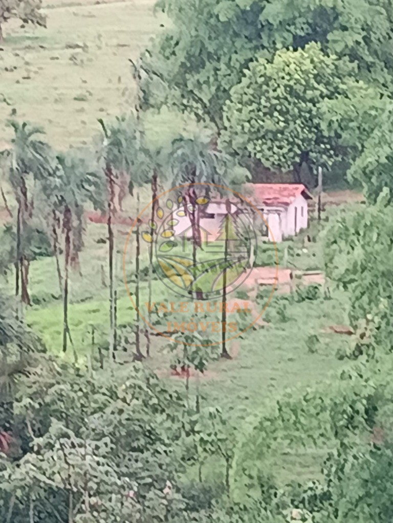 Fazenda - Foto 25