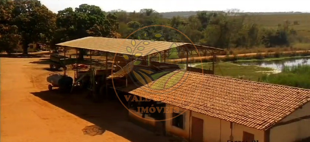 Fazenda - Foto 10