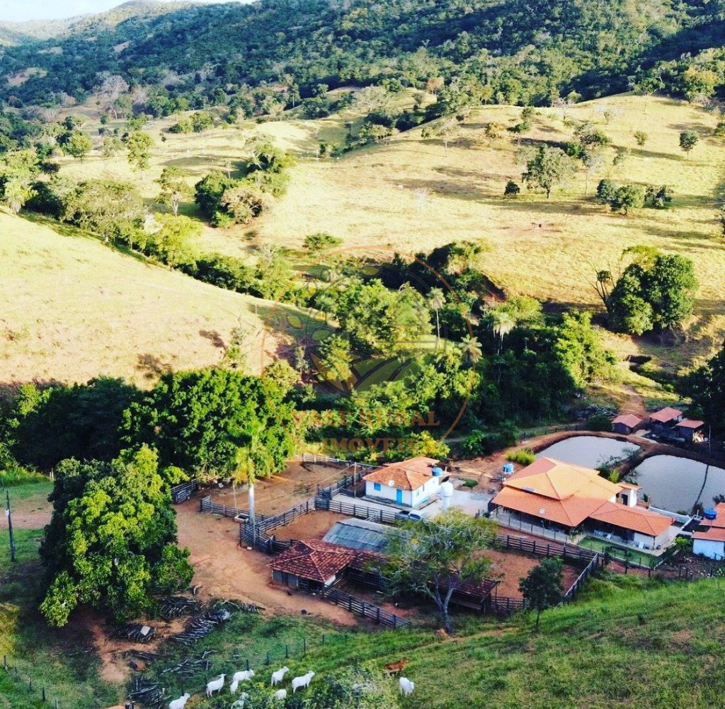 Fazenda - Foto 3