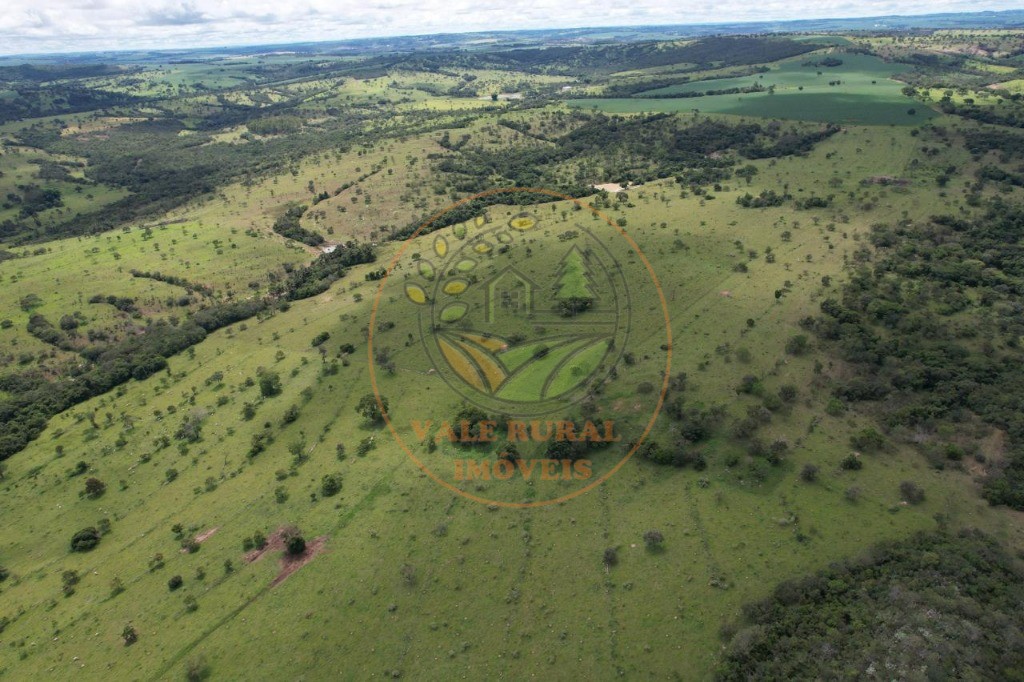 Fazenda - Foto 23