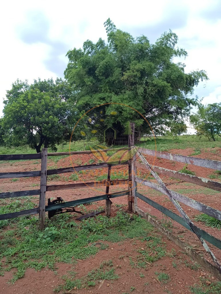 Fazenda - Foto 7