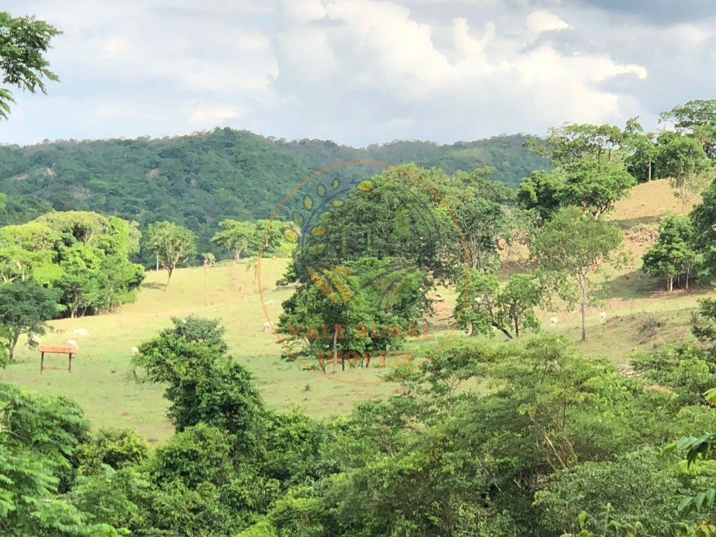 Fazenda - Foto 14