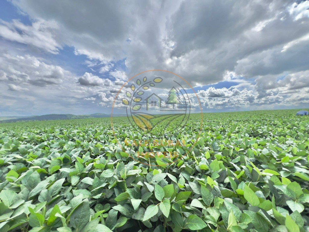 Fazenda - Foto 11