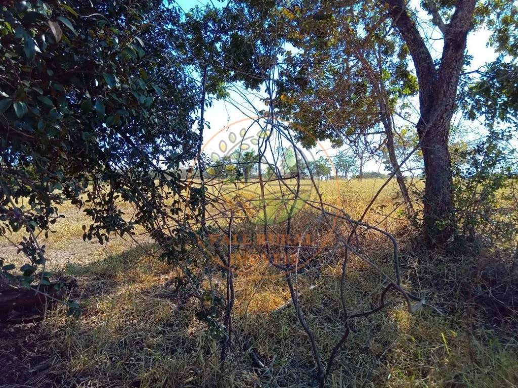 Fazenda - Foto 2