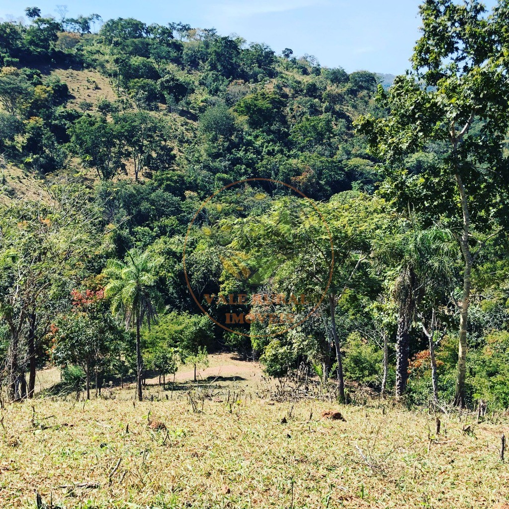Fazenda - Foto 26